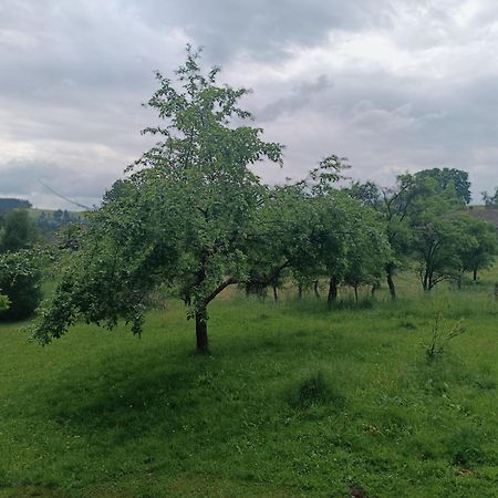 Chalupa u Kuby Vysoké nad Jizerou Exteriér fotografie