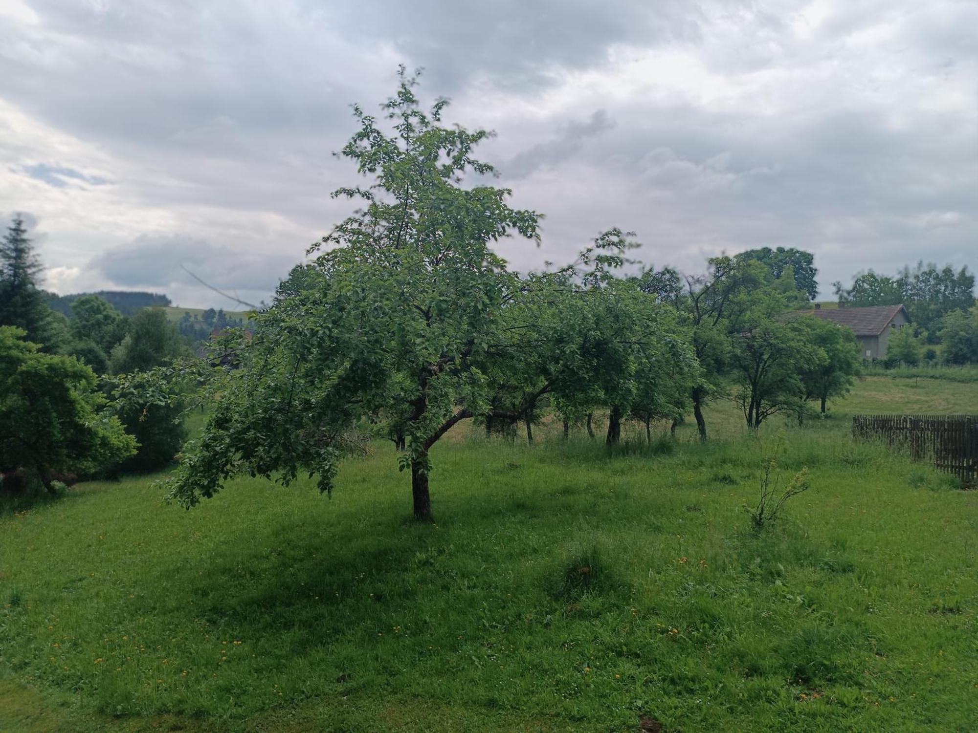 Chalupa u Kuby Vysoké nad Jizerou Exteriér fotografie